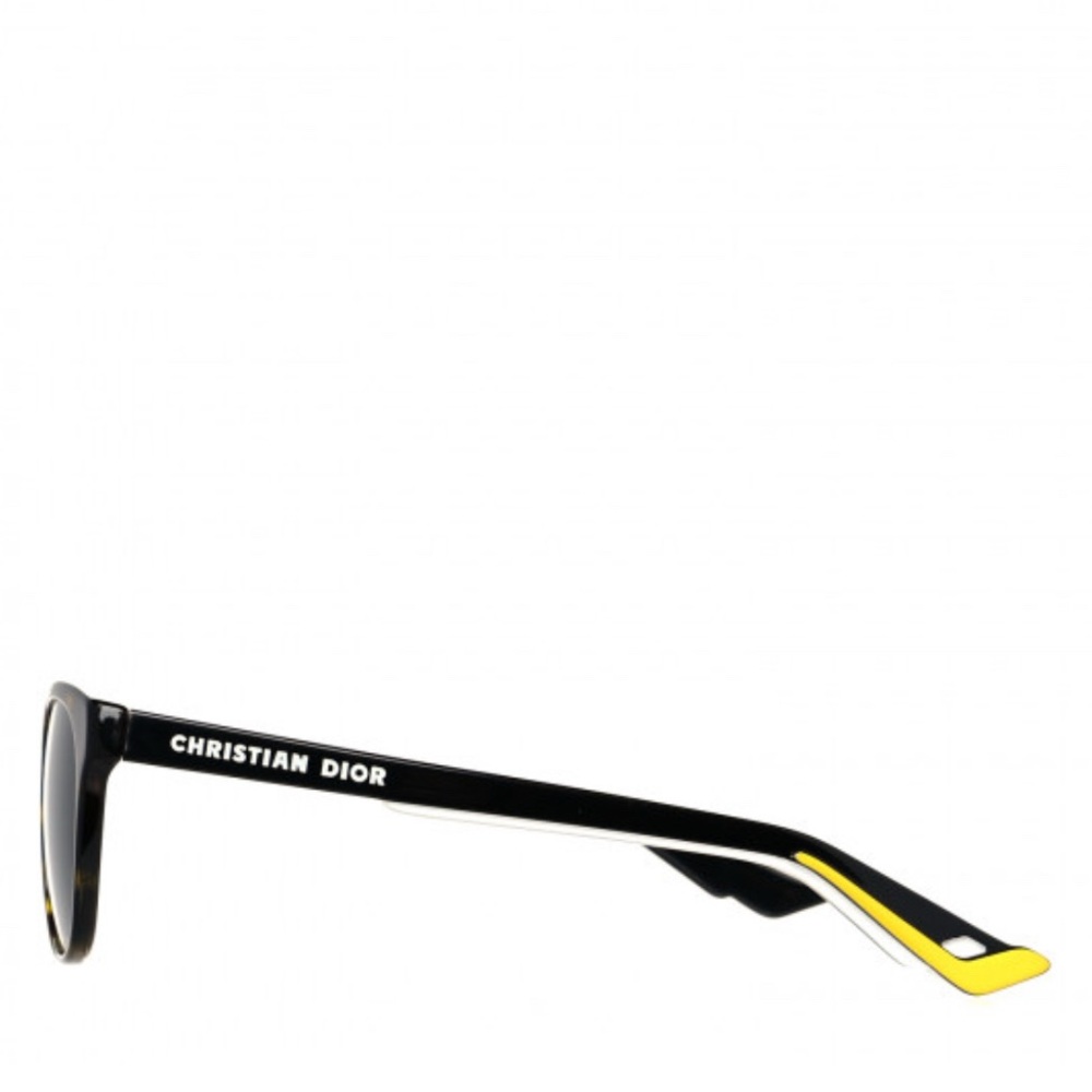 Christian Dior Acetate DiorB24.2 Sunglasses